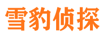 河北区市婚姻出轨调查